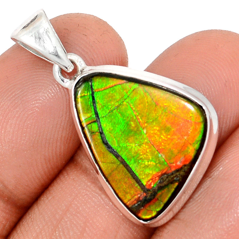 1.2" Ammolite Pendants - AMLP2840