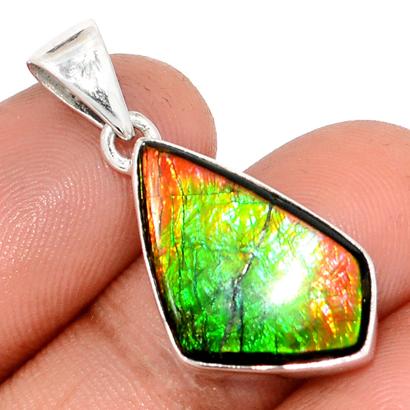 1.3" Ammolite Pendants - AMLP2843