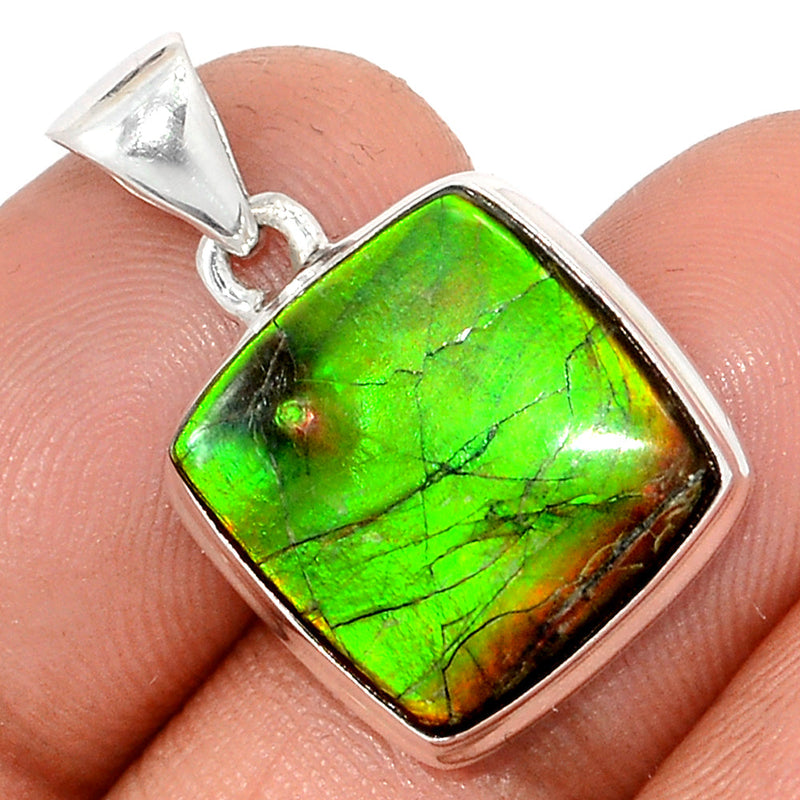 1.1" Ammolite Pendants - AMLP2845