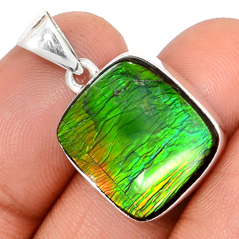 1.2" Ammolite Pendants - AMLP2849