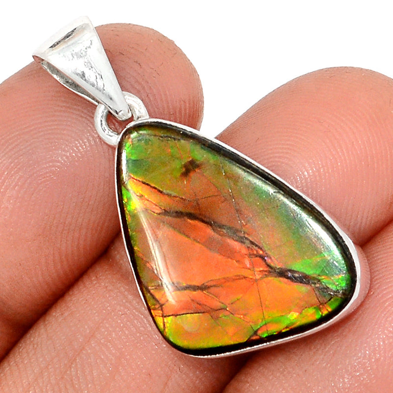 1.3" Ammolite Pendants - AMLP2850