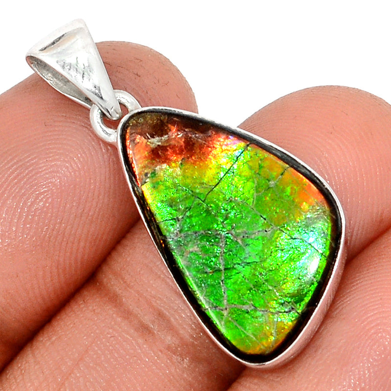 1.3" Ammolite Pendants - AMLP2860