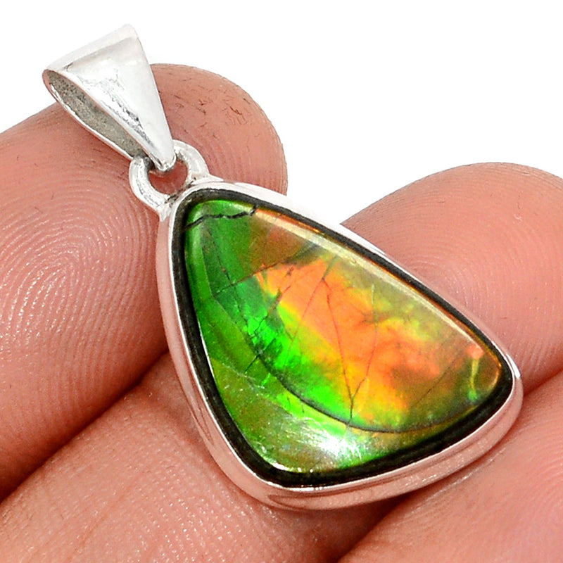 1.3" Ammolite Pendants - AMLP2863