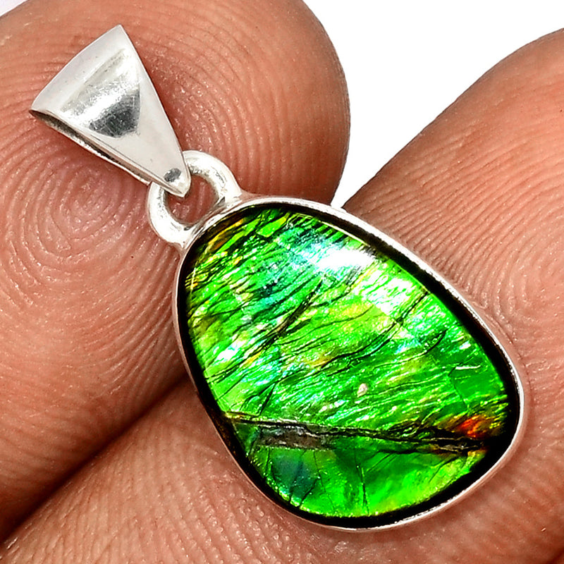1" Ammolite Pendants - AMLP2867