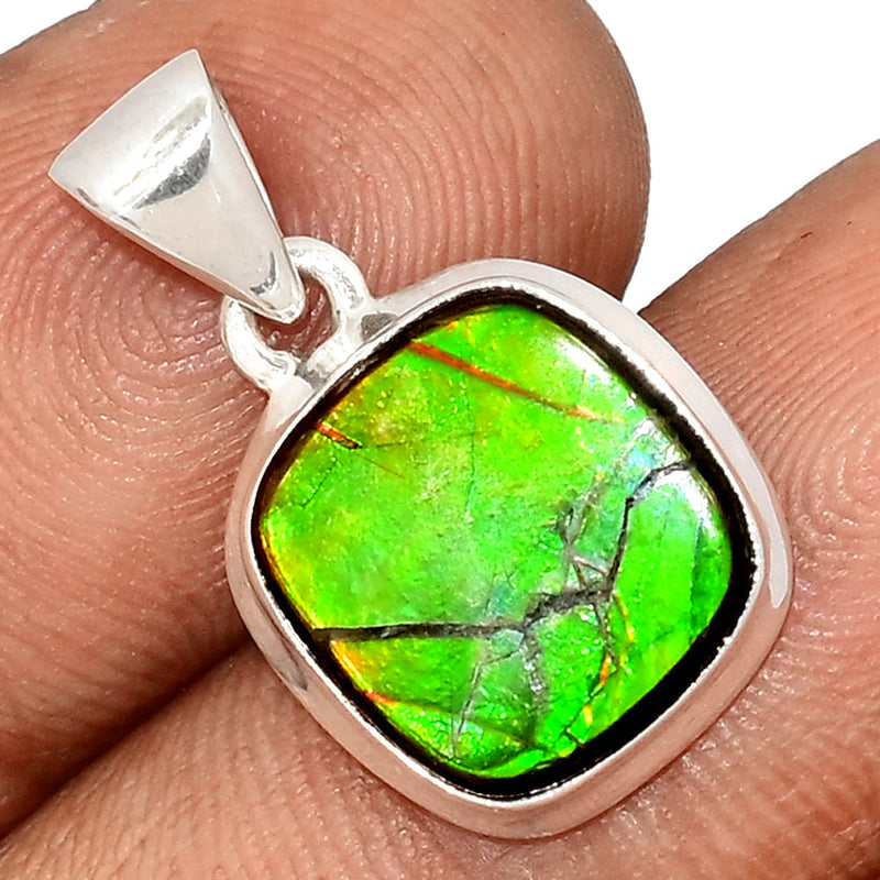 1" Ammolite Pendants - AMLP2873