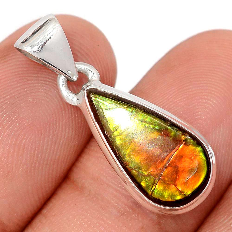 1.1" Ammolite Pendants - AMLP2893