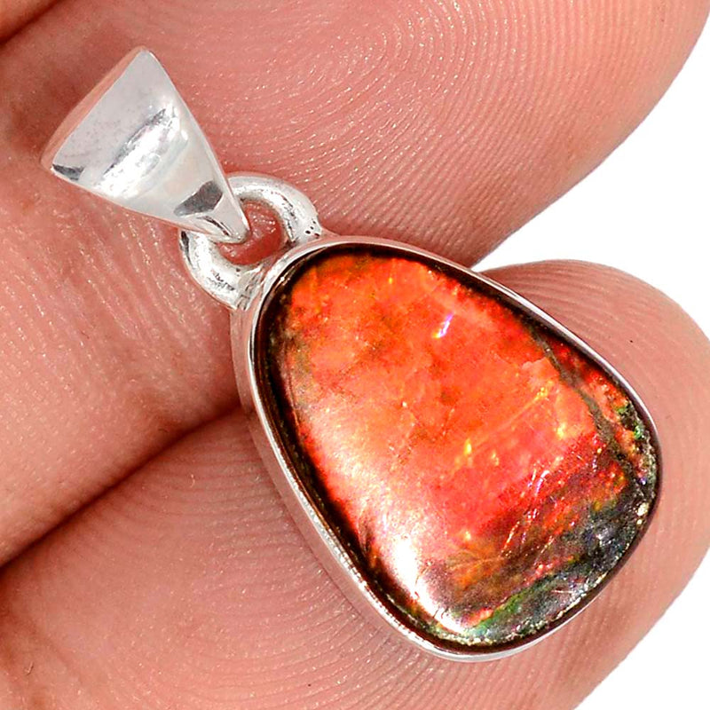 1" Ammolite Pendants - AMLP2895