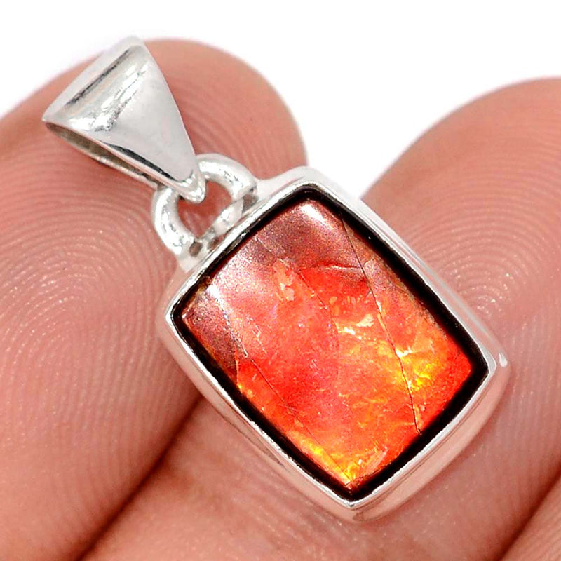 1" Ammolite Pendants - AMLP2898