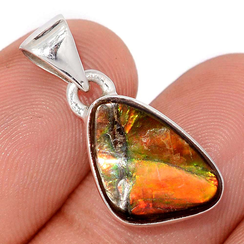 1" Ammolite Pendants - AMLP2905