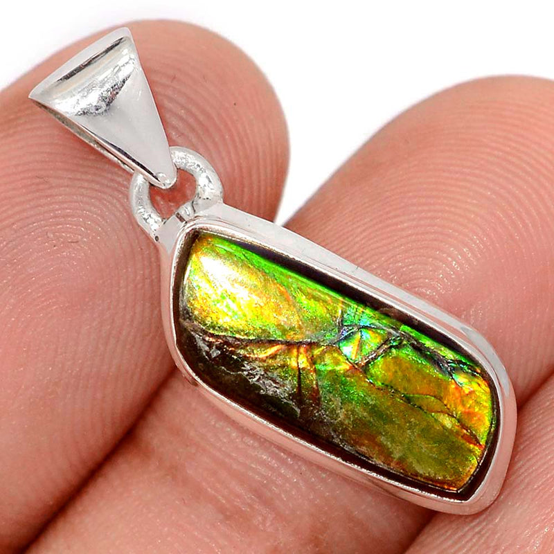 1.1" Ammolite Pendants - AMLP2907