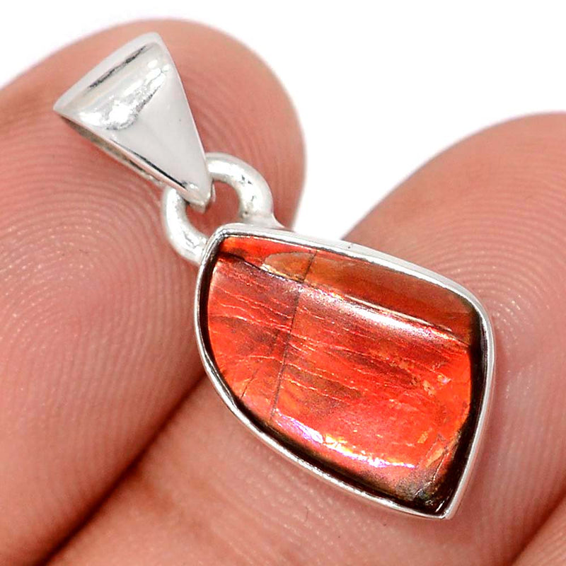 1" Ammolite Pendants - AMLP2910
