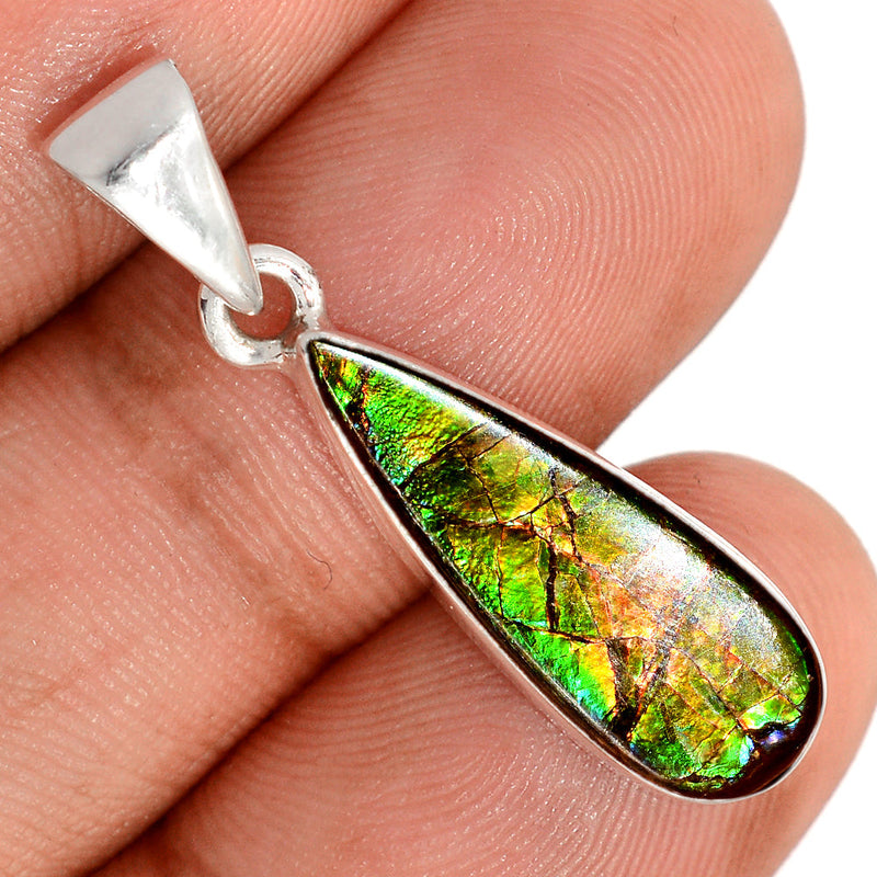 1.3" Ammolite Pendants - AMLP2921