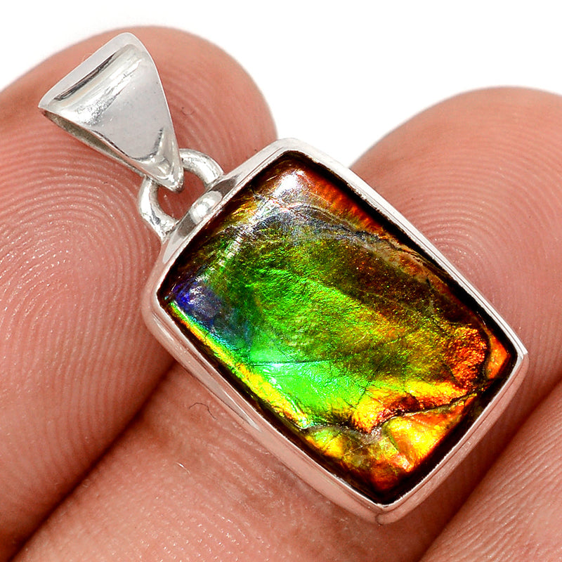 1.1" Ammolite Pendants - AMLP2922