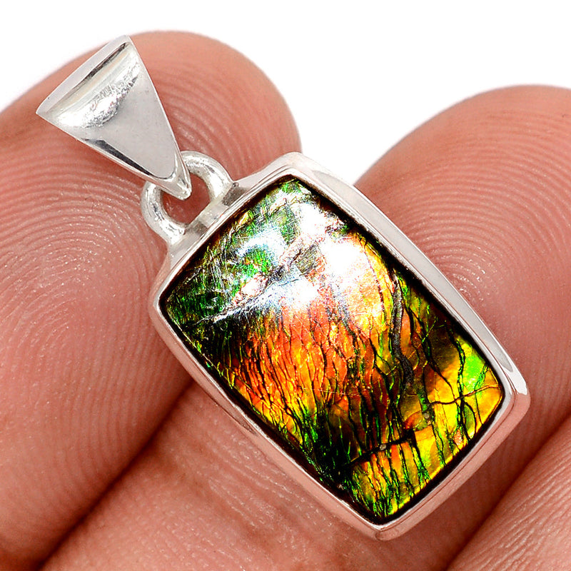 1.1" Ammolite Pendants - AMLP2924
