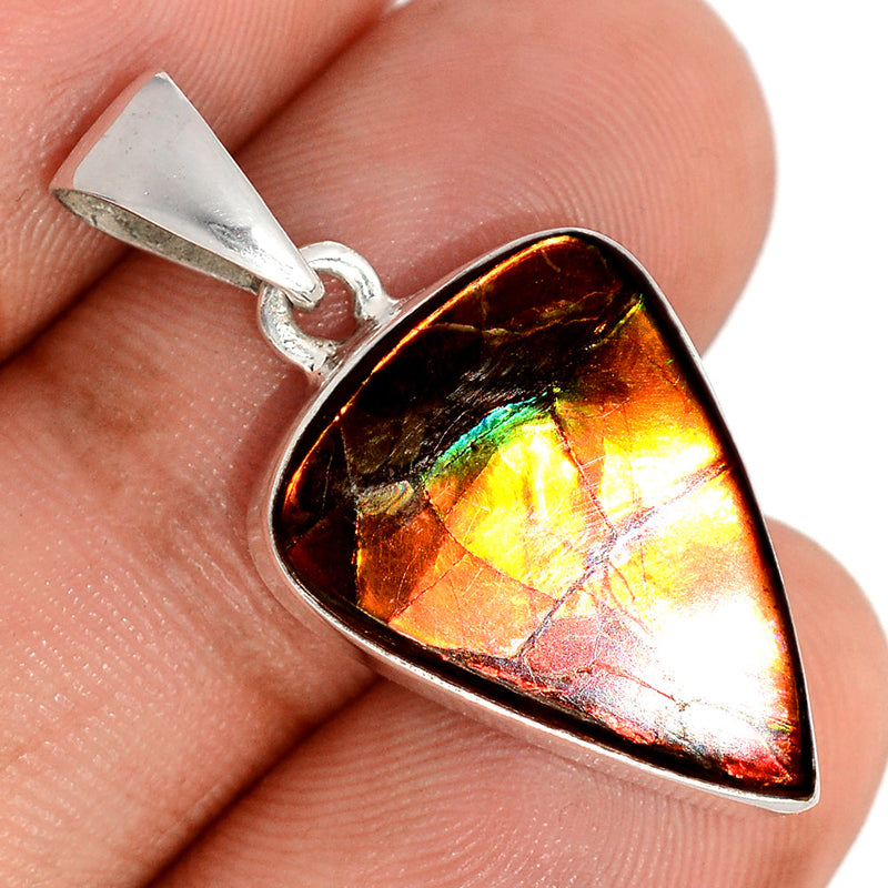 1.3" Ammolite Pendants - AMLP2925
