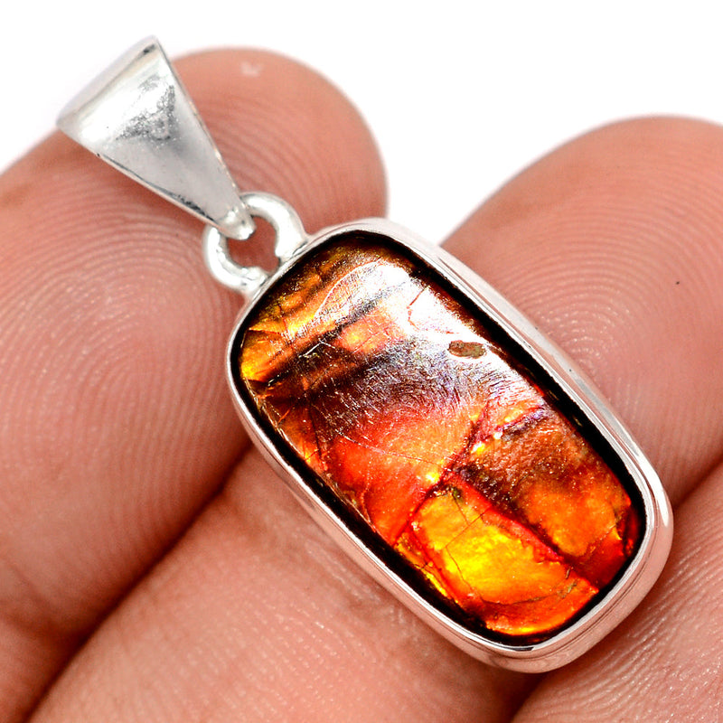 1.3" Ammolite Pendants - AMLP2931