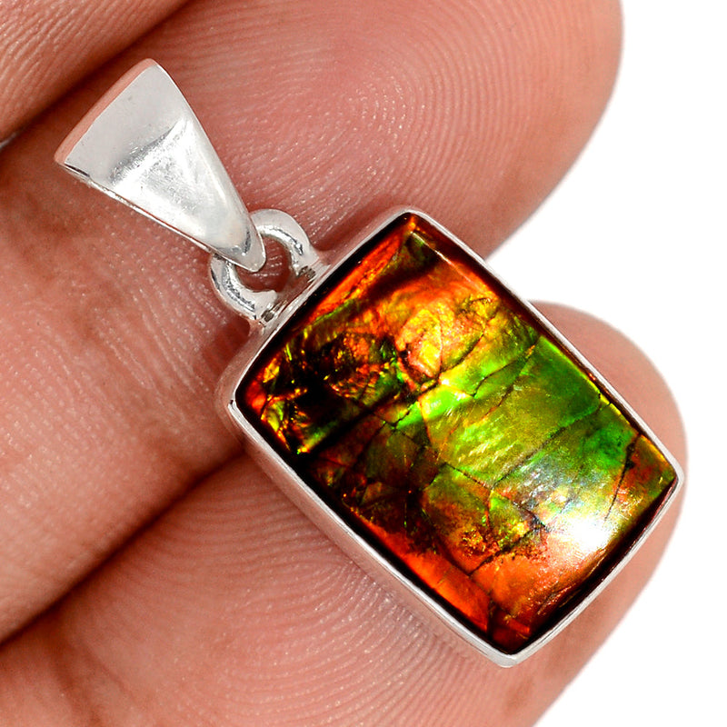 1.1" Ammolite Pendants - AMLP2935