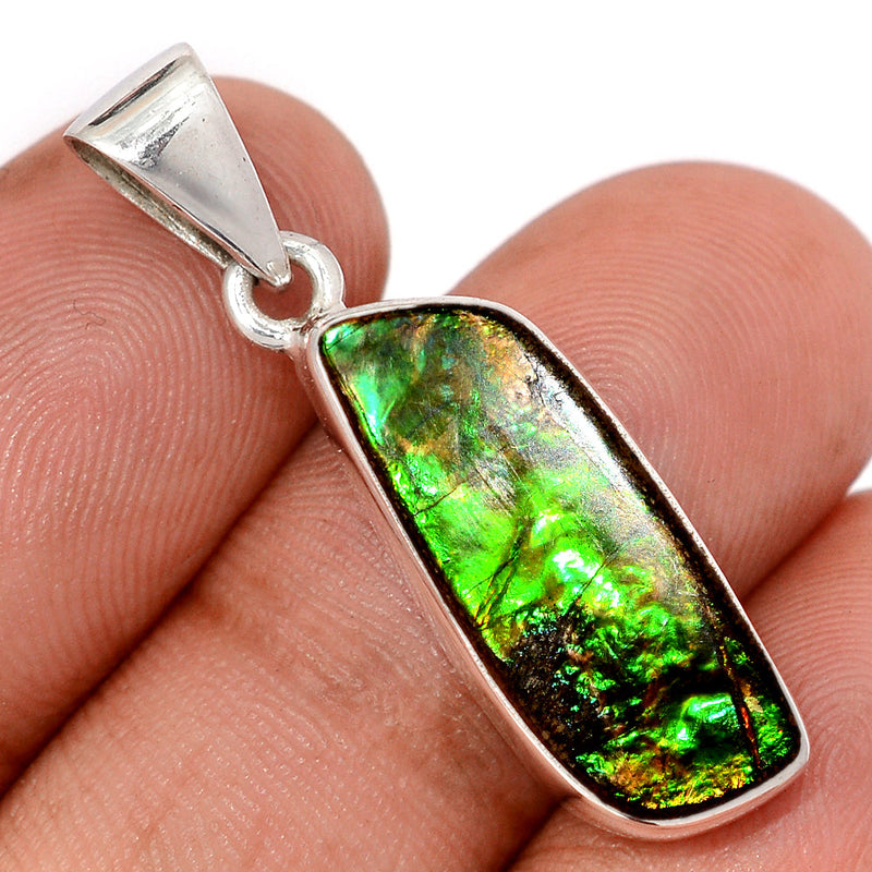 1.5" Ammolite Pendants - AMLP2939