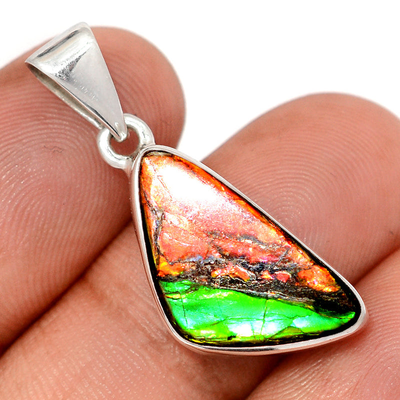 1.3" Ammolite Pendants - AMLP2943
