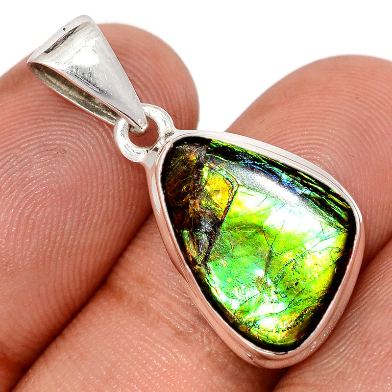 1.2" Ammolite Pendants - AMLP2947