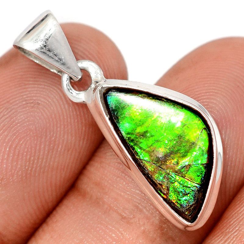 1.2" Ammolite Pendants - AMLP2948