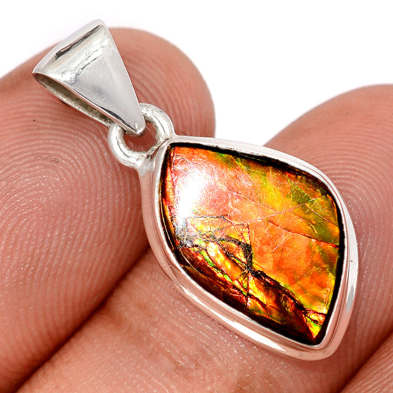 1.1" Ammolite Pendants - AMLP2949