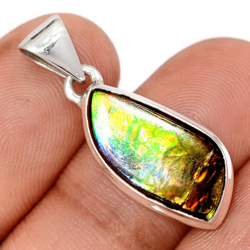 1.2" Ammolite Pendants - AMLP2950