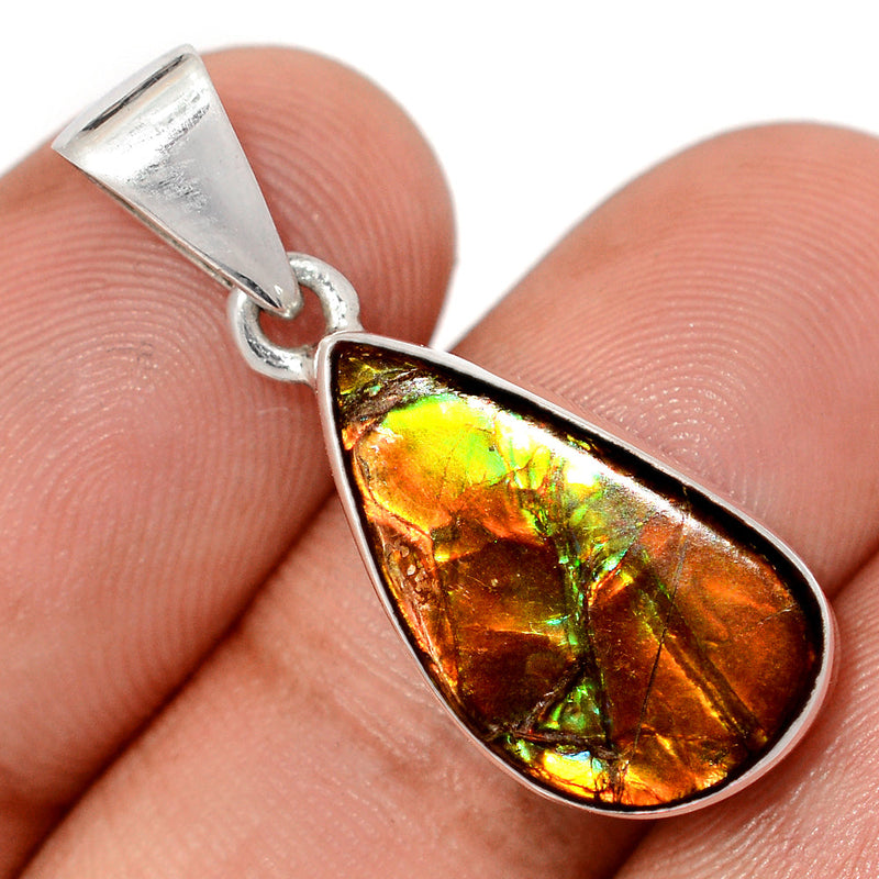1.2" Ammolite Pendants - AMLP2952