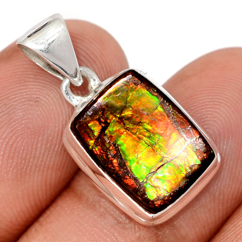 1" Ammolite Pendants - AMLP2953