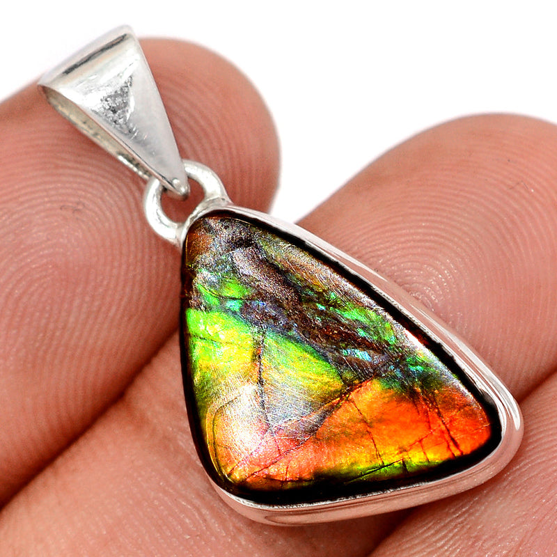 1.2" Ammolite Pendants - AMLP2955