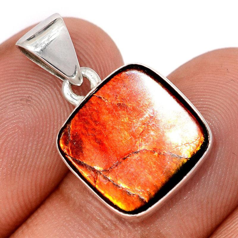 1" Ammolite Pendants - AMLP2956