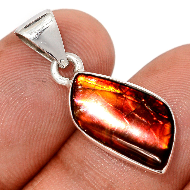 1.1" Ammolite Pendants - AMLP2957