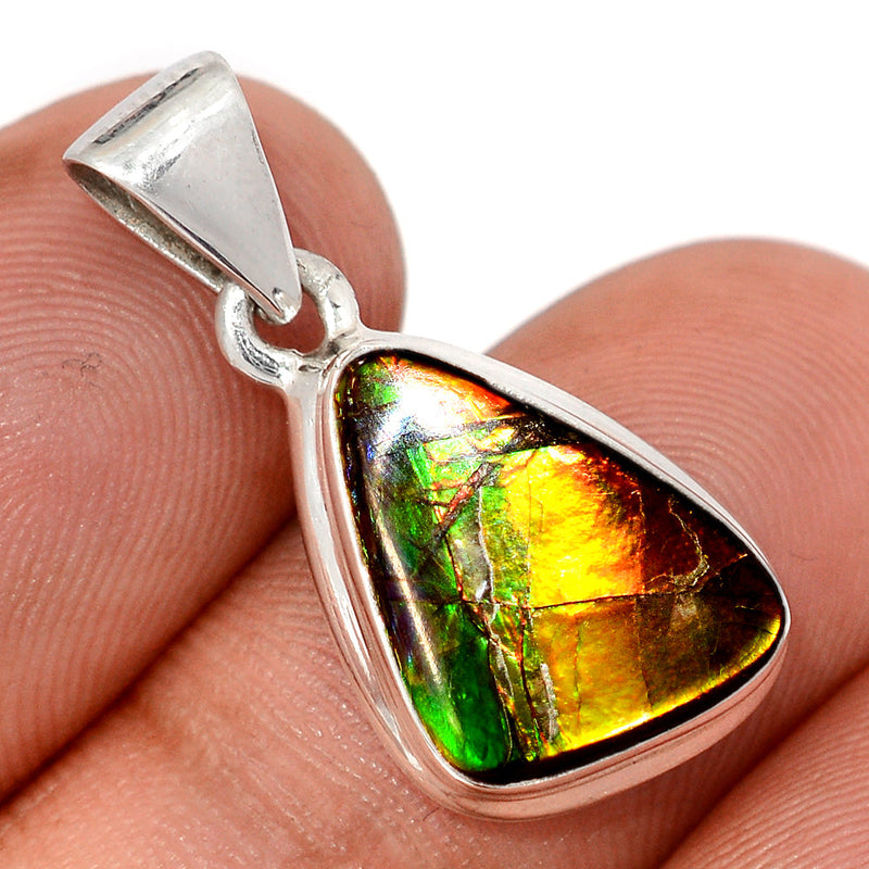 1.1" Ammolite Pendants - AMLP2958