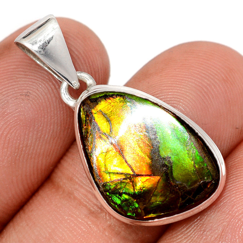 1.2" Ammolite Pendants - AMLP2959