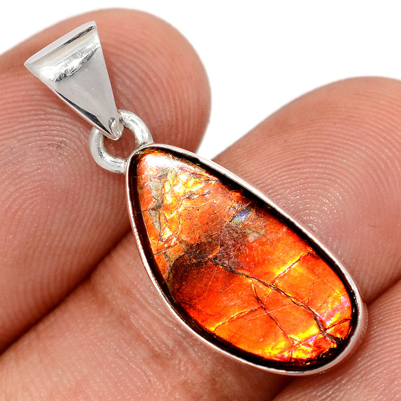 1.2" Ammolite Pendants - AMLP2960