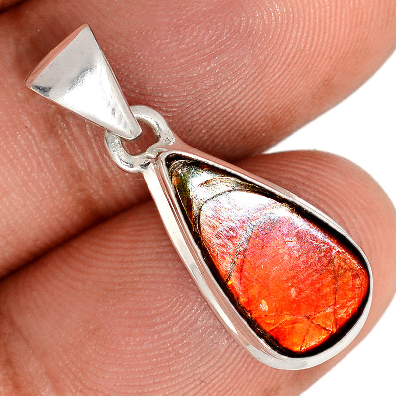 1.1" Ammolite Pendants - AMLP2961