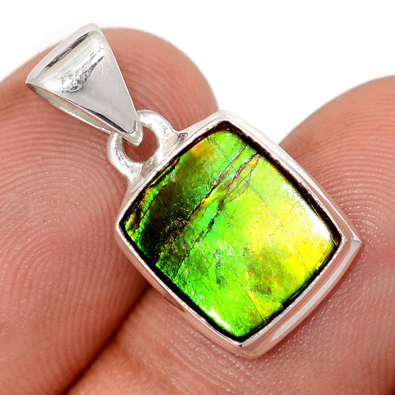 1" Ammolite Pendants - AMLP2964