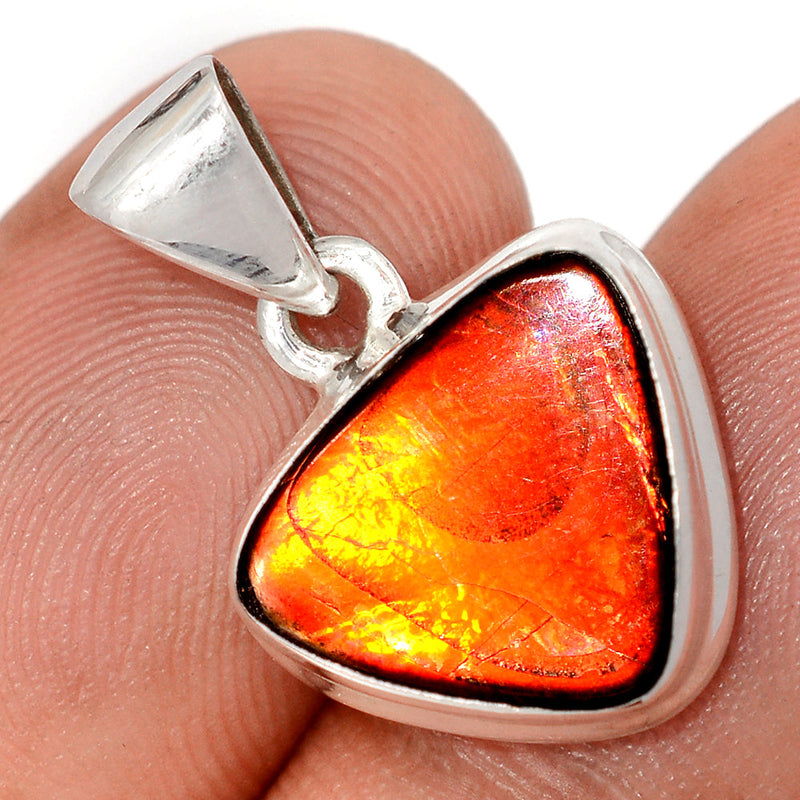 1" Ammolite Pendants - AMLP2967