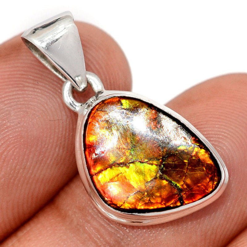 1.1" Ammolite Pendants - AMLP2968