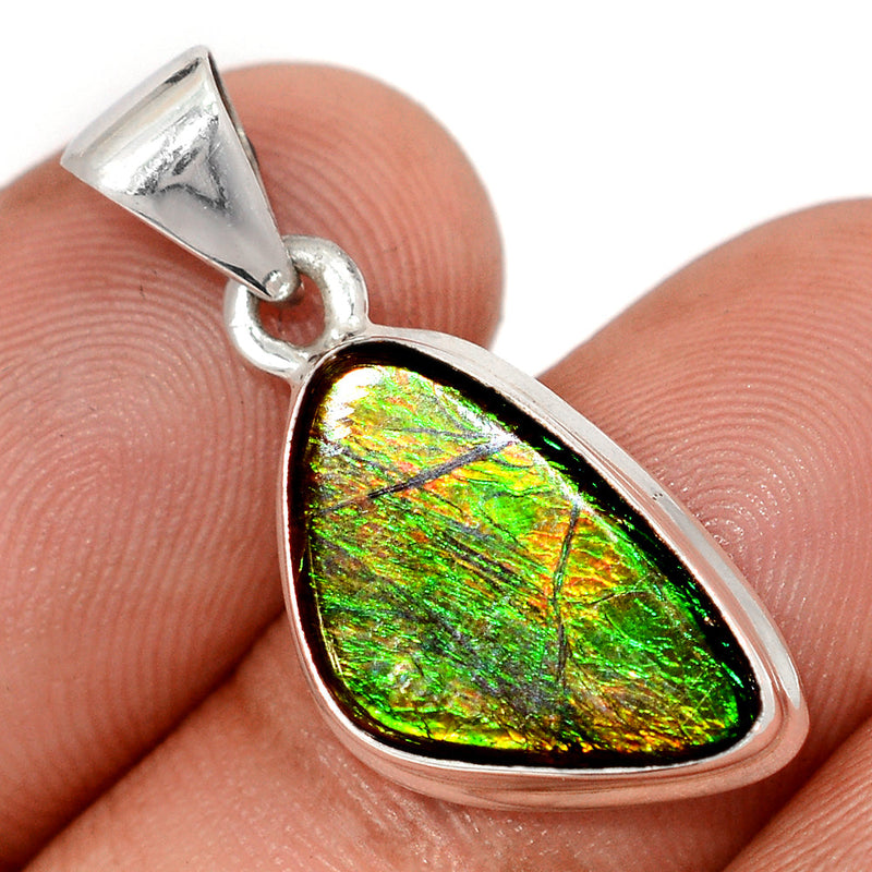 1.1" Ammolite Pendants - AMLP2969