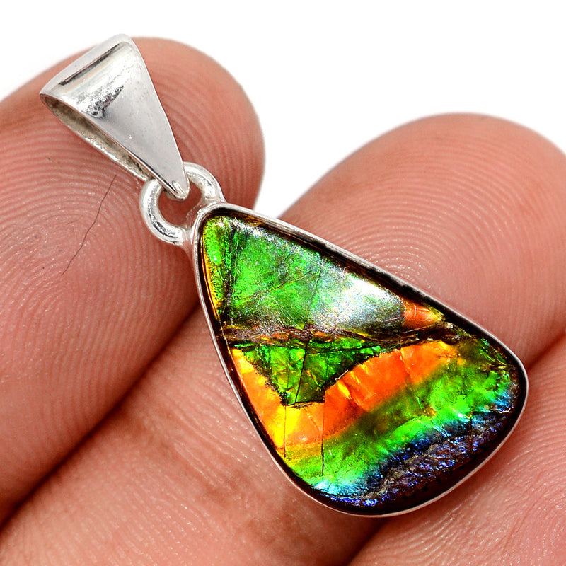 1.2" Ammolite Pendants - AMLP2979