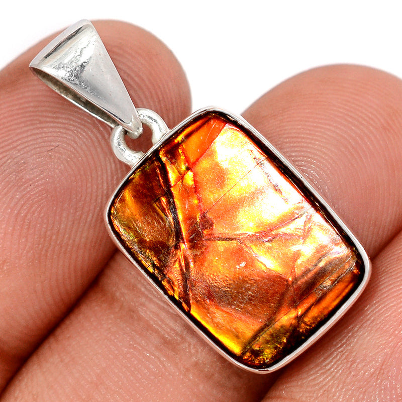 1.2" Ammolite Pendants - AMLP2980