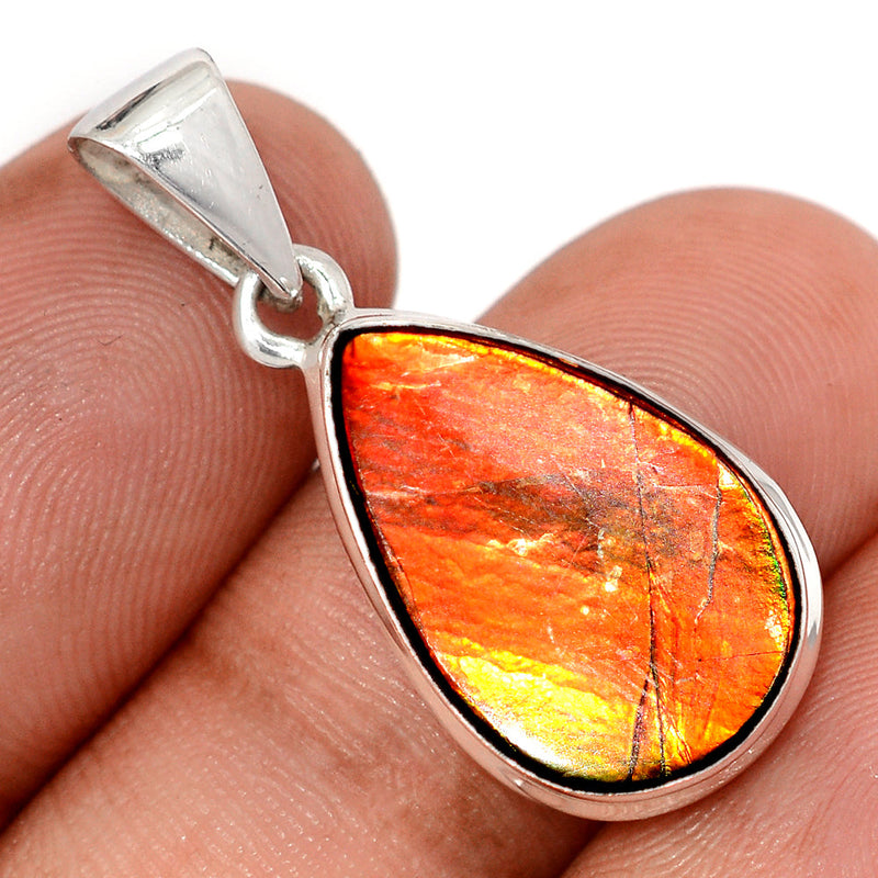 1.2" Ammolite Pendants - AMLP2981