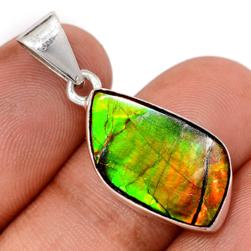 1.3" Ammolite Pendants - AMLP2984