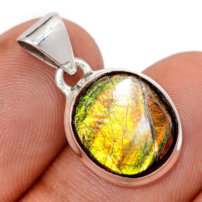 1" Ammolite Pendants - AMLP2987