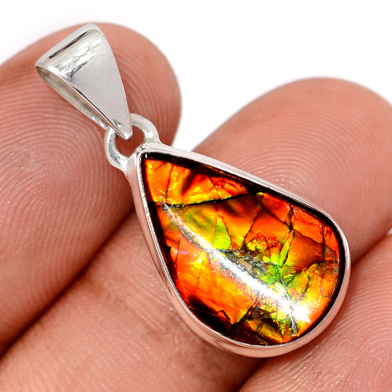 1.2" Ammolite Pendants - AMLP2989