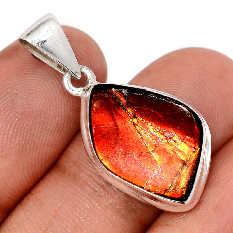 1.3" Ammolite Pendants - AMLP2990