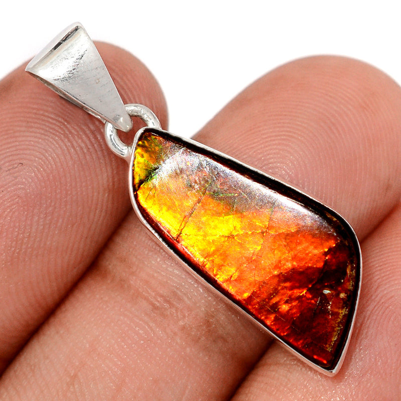 1.3" Ammolite Pendants - AMLP2991