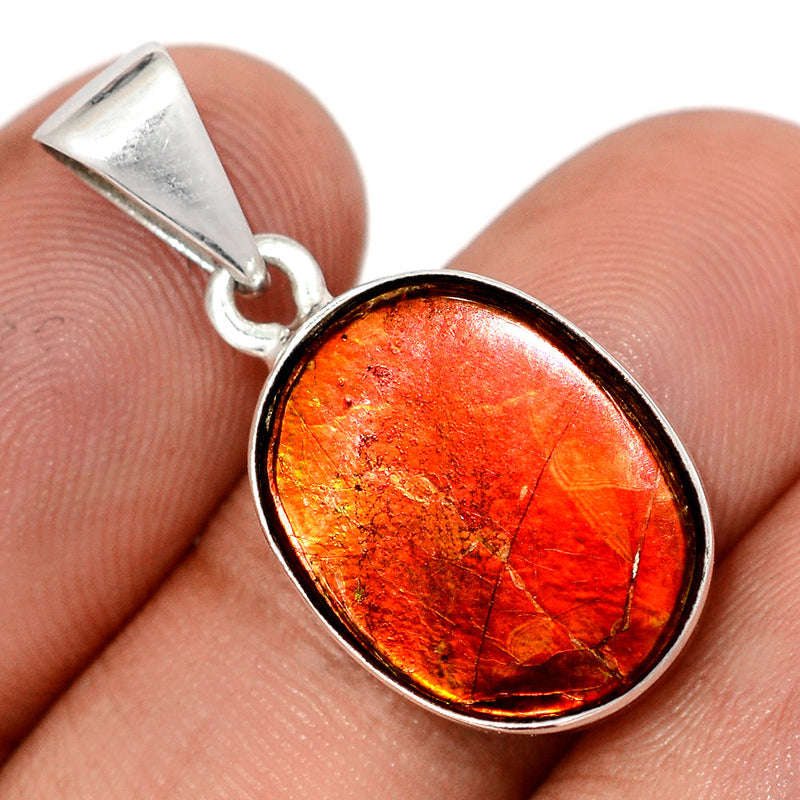 1.2" Ammolite Pendants - AMLP2995