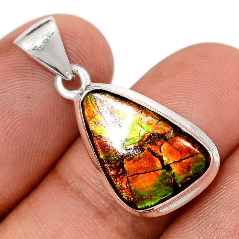 1.2" Ammolite Pendants - AMLP3001